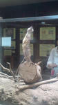 20110912145139.jpg
