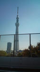 20111123110947.jpg