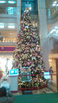 20111123150942.jpg