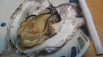 DCIM0065.JPG