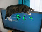 90bd09ec.jpg