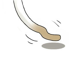 しっぽ