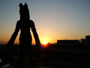 Flickr 没