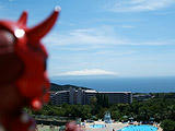 大島を望む