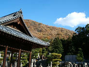 081206-7 岡山/淡路