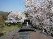 多賀SLパーク跡（SLの上から）