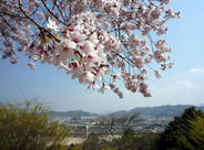 彦根城から望む彦根市の様子