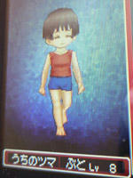 DQ9 ぶとうか