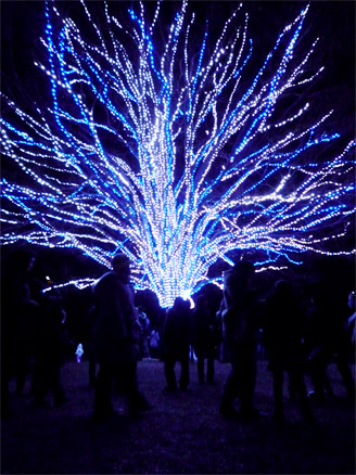 昭和記念公園 Winter Vista Illumination 2009