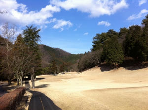 2011.01.09.01.jpg
