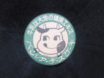 NEC_0097.jpg