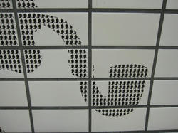 mini_IMG_2330.jpg