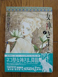 『女神さまと私』