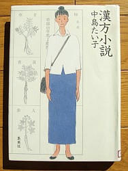 『漢方小説』