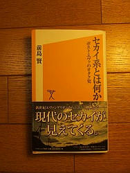 『セカイ系とは何か ポスト・エヴァのオタク史』