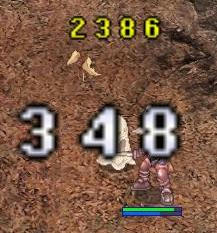 wa.jpg