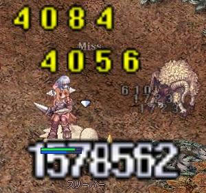 wa1.jpg