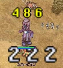 wa2.jpg