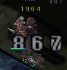 hol1.jpg