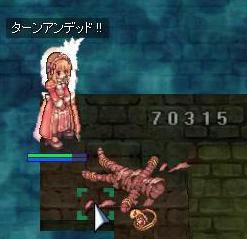 sd1.jpg