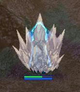 kin.jpg