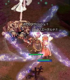 nibb.jpg