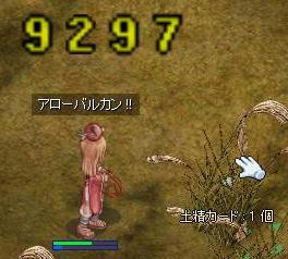gip3.jpg