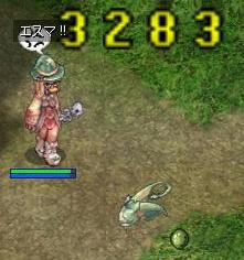 put1.jpg