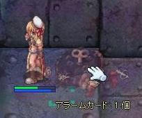ar.jpg