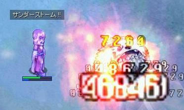 koo.jpg