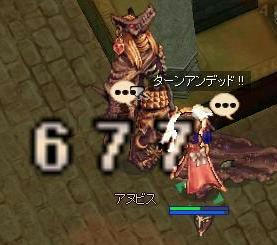 in1.jpg