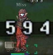 tam.jpg