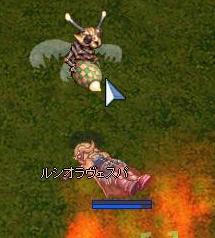 ise.jpg