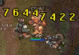 pek.jpg