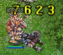 pe4.jpg