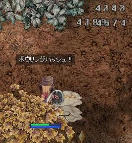 bb1.jpg