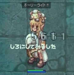 shiro1.jpg