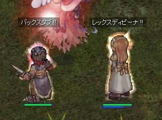 sa1.jpg