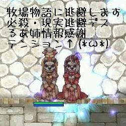 bok.jpg