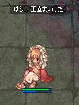 po1.jpg