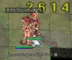 sen3.jpg