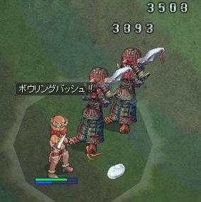 tam1.jpg