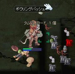 ayu1.jpg