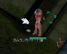 hon3.jpg