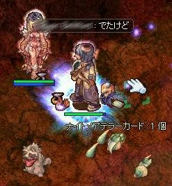 noo2.jpg