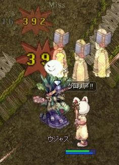 akoo.jpg