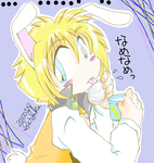 20100519_usamimi_gai.png
