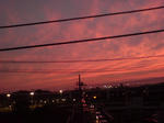 20090920-2.JPG