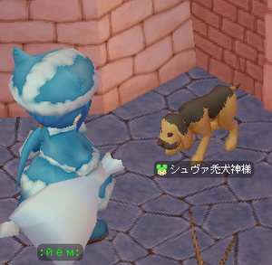 091213_120025.png