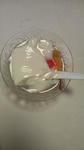 P1000009.jpg